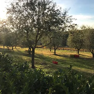Il Villino Castellina in Chianti